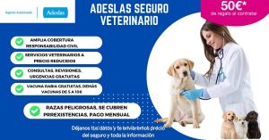 seguro-mascotas-veterinario