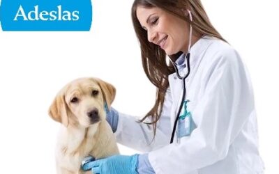 ADESLAS SEGURO VETERINARIO +RC OBLIGATORIA